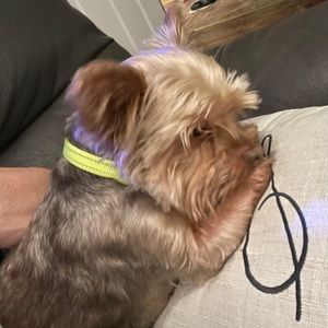 Meet your Posher, Tracey